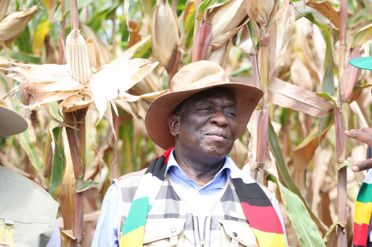 President of Zimbabwe on Twitter "Today, I visited my farm in Kwekwe with SeedCo who produce