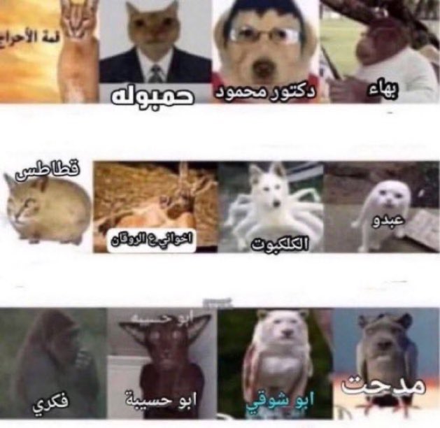 MatrixRealz's tweet photo. يعني بكره مارح نشوفهم😍😍😍 https://t.co/cGnxE07xEz