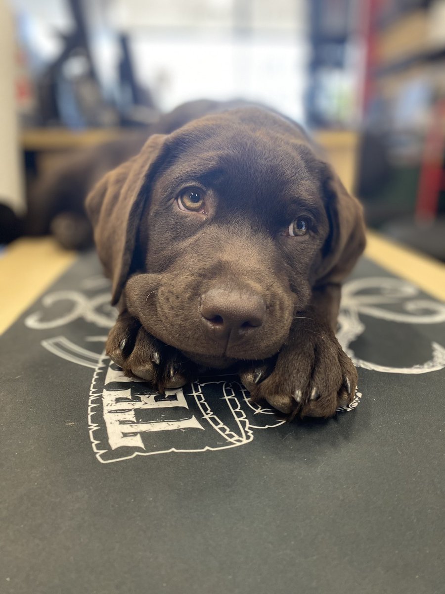 Rachel Weeks tweet media