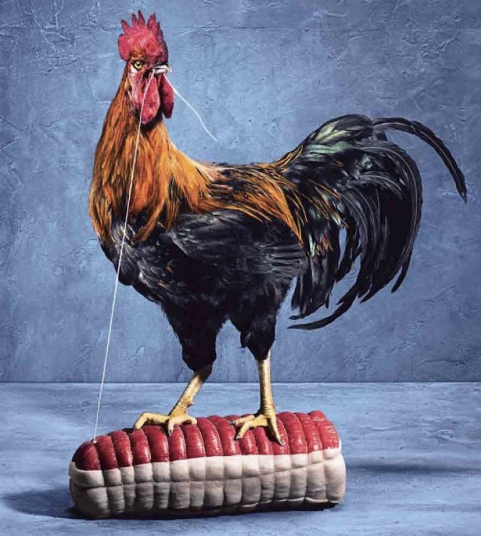 Bruno_Janet's tweet photo. Je me souviens d’une énorme défaite des #BLEUS à #twickenham où à la sortie avec #Gachassin #Garuet #Dintrans ns avions entendu des dizaines de « good Game ». Alors ce soir « good Game » Mr les anglais #ENGFRA @SixNationsRugby #Crunch bravo Fabien @FGalthie et à tte l’équipe https://t.co/ffrzd5WSAR