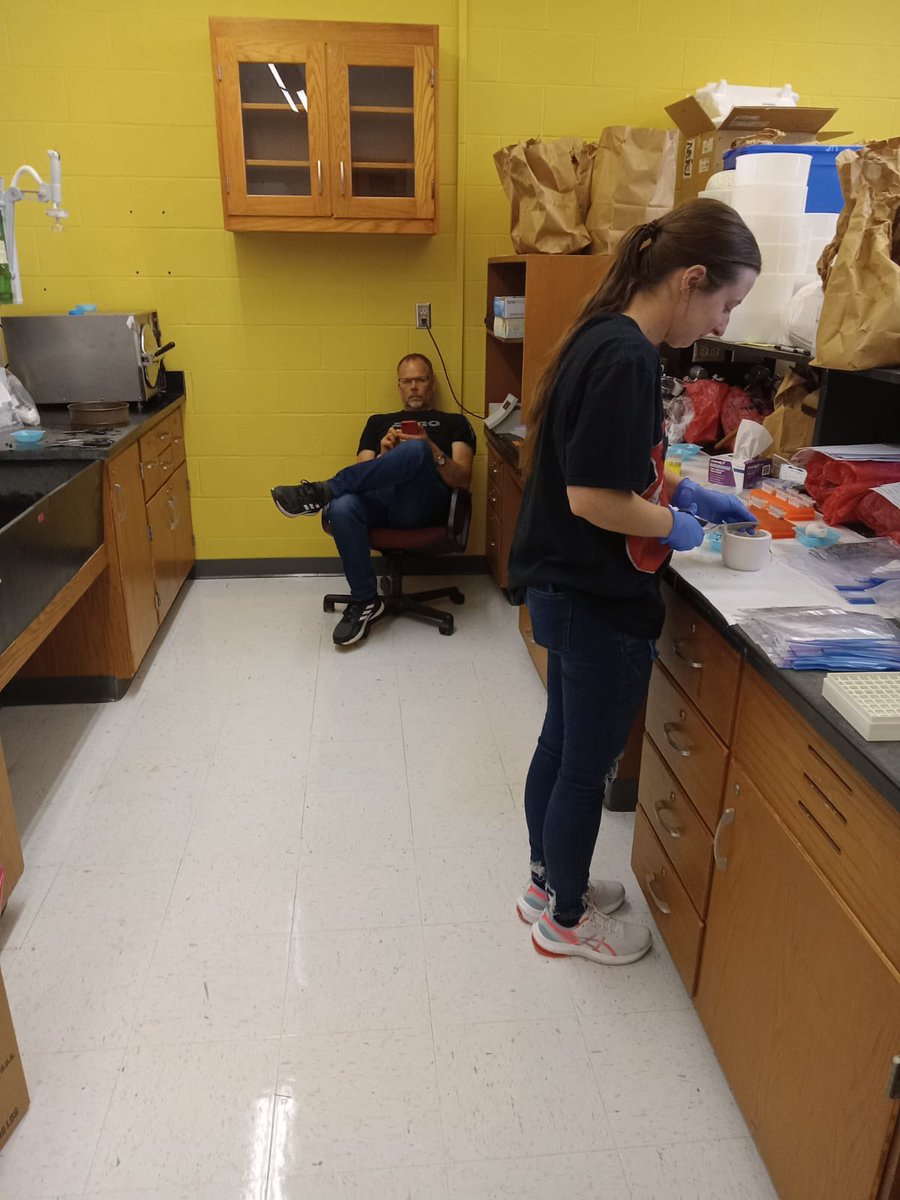 TreeMicrobiome (@microbiometree) on Twitter photo Busy providing, ahem, âoversight and supportâ to the #treemicrobiome team extracting DNA from soil, roots, and needles this week. Thanks <a href="/MariahSlaughte1/">Mariah Slaughter M.S.</a> <a href="/madegreene/">Madeline Greene</a> and <a href="/sl_addison/">Sarah Addison</a> ! Busy providing, ahem, âoversight and supportâ to the #treemicrobiome team extracting DNA from soil, roots, and needles this week. Thanks <a href="/MariahSlaughte1/">Mariah Slaughter M.S.</a> <a href="/madegreene/">Madeline Greene</a> and <a href="/sl_addison/">Sarah Addison</a> !
