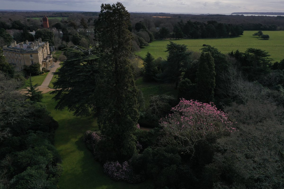 Marie-Louise Agius tweet media