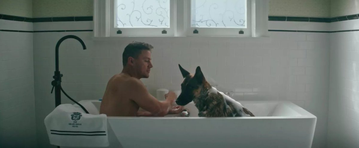 tray_mora's tweet photo. Channing Tatum y una perrita, ¿qué puede salir mal? 

Absolutamente nada...
#DOG https://t.co/4nou4mgl4G