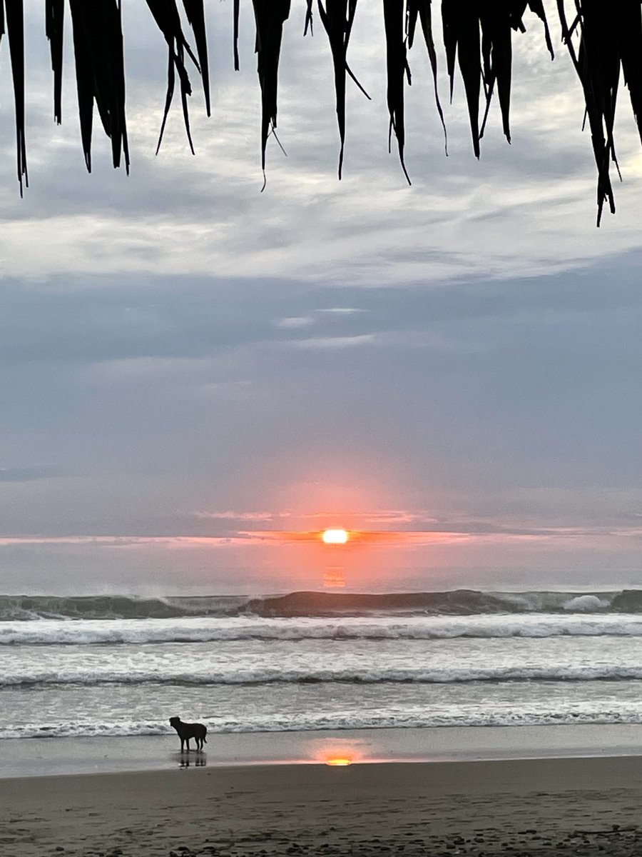 Veit Medick tweet media