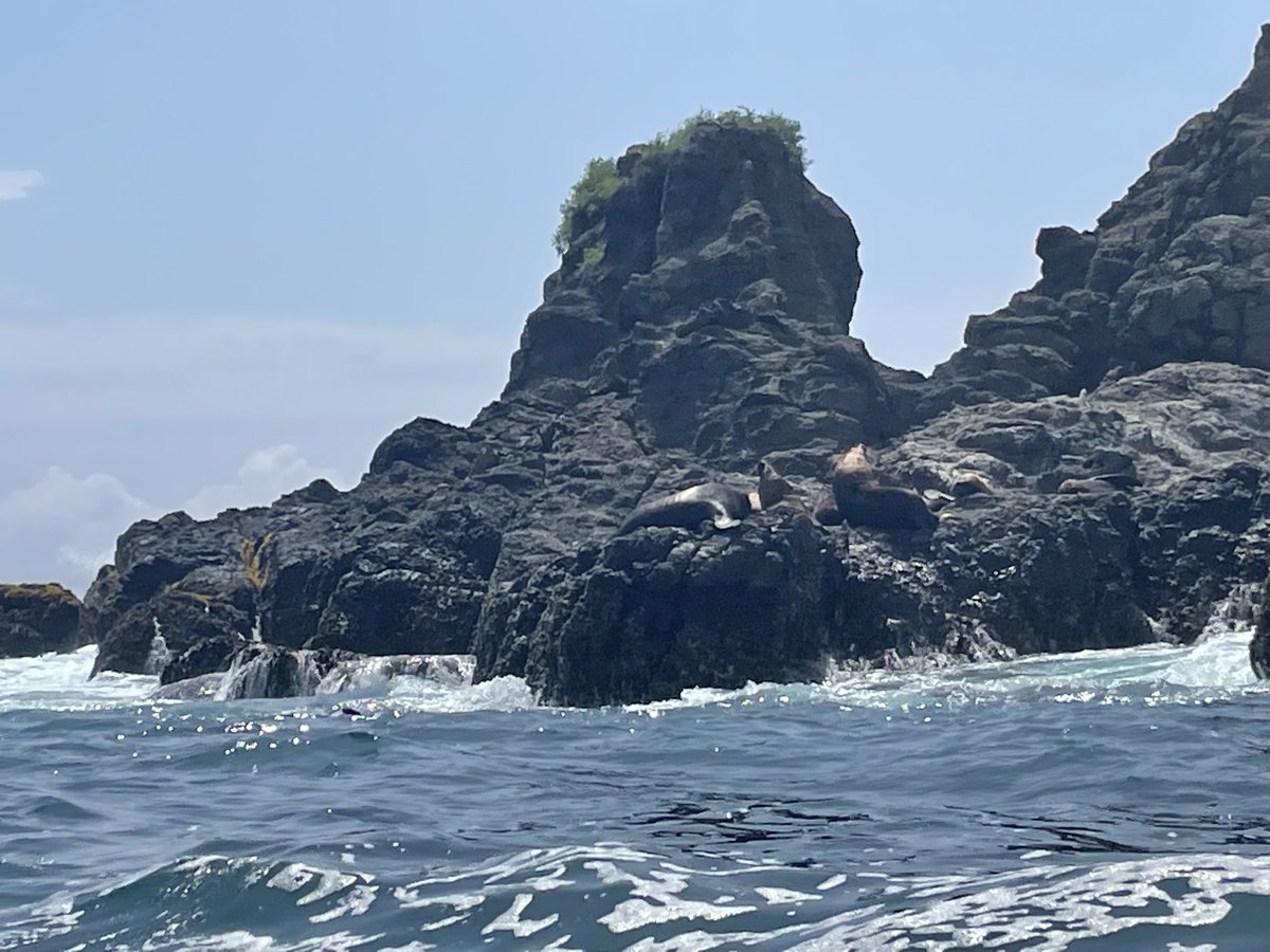 Veit Medick tweet media