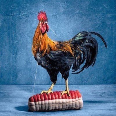 Michel Roux Jr tweet media