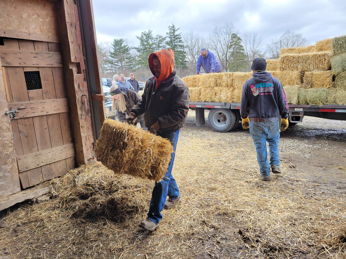 17 tons of donated feed, supplies, hay and straw arrived from Indiana at Kaylee Ball's farm outside Salem Ohio this afternoon. 

Two women from Indianapolis had been following the East Palestine derailment story and wanted to help people with animals who have been impacted.