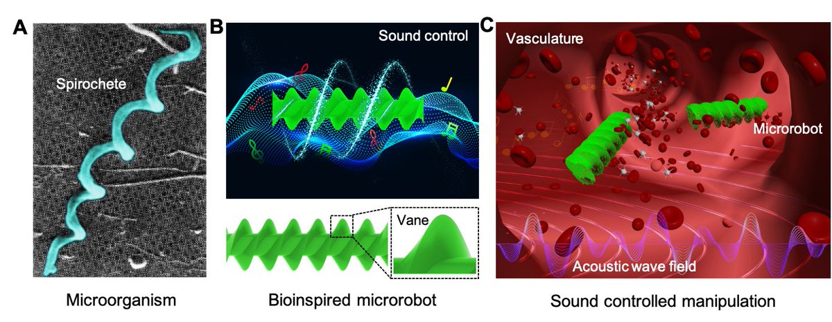 DanielAhmedARSL's tweet photo. The interaction between 3D microstructures and acoustics has yet to be studied in propulsion. While still in their infancy, acoustic microrobots are becoming attractive. We present an acoustically driven helical microrobot. @eth_dmavt https://t.co/9bHegeqQrn https://t.co/kFI3aHsec5
