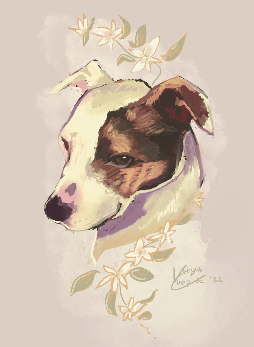 ValyaCho's tweet photo. Some pet portrait commissions I’ve painted over the years https://t.co/hkw7DbupWw