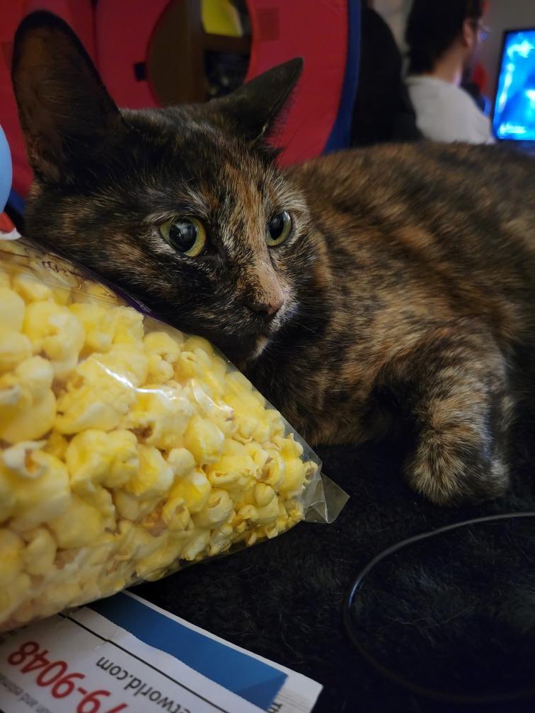 Holy BEEP! Today is Daddum’s Beepday! 🎁🎂😸 Happy Beepday to DADDUMS!!!

Also: Daddums will be streaming today at 4pm PST till 7pm, and then again 7pm to 10pm! 2 STREAMS, BEEPLE! 

twitch.tv/chriskhaymanlee

Tonight he’s announcing the winner of his BEEPIN’ Give-Away!