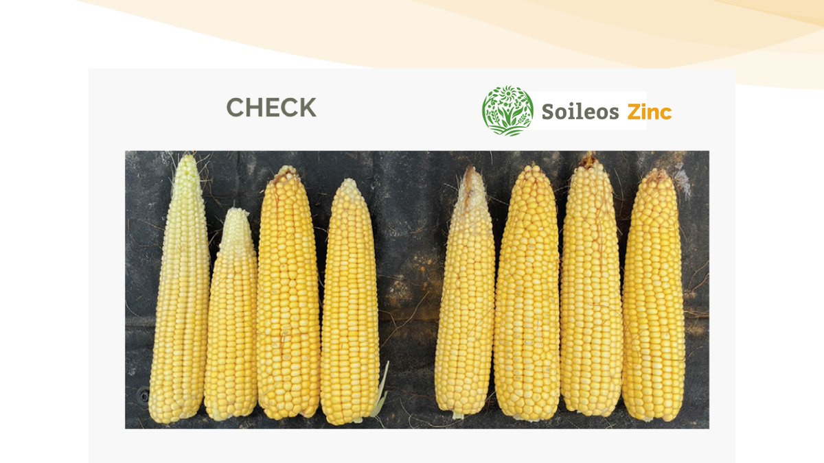 Grow Your Yield, Shrink Your Doubt — Learn More About Our Performance Guarantee. hubs.ly/Q01FVMvb0 #GrowMoreRiskLess #BetterROI #AgTech #Innovations