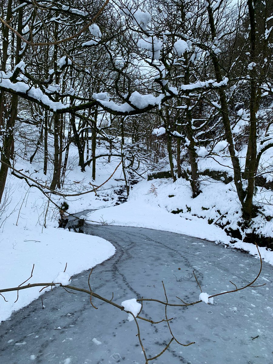 Calvinotis's tweet image. My led walk was cancelled but I went out myself. Good decision in the end. Tough walking for my little legs, tiring and sliding down a hill 😂 #HadeEdge #FoxClough Started in sunshine, ended in snow.