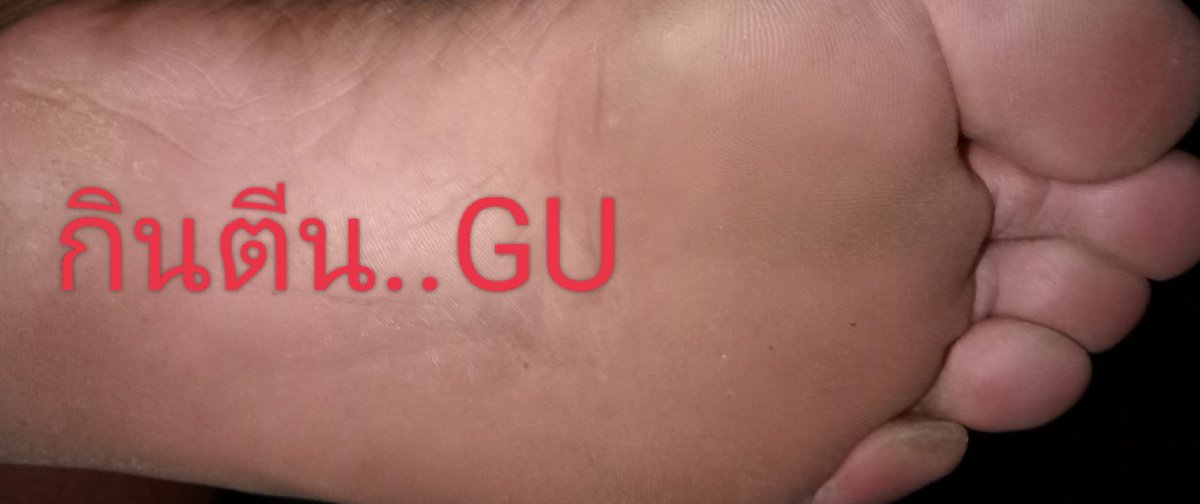 gu เอง tweet media