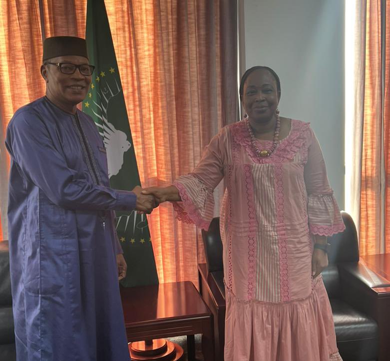 silencing-the-guns-in-africa-on-twitter-the-au-high-representative