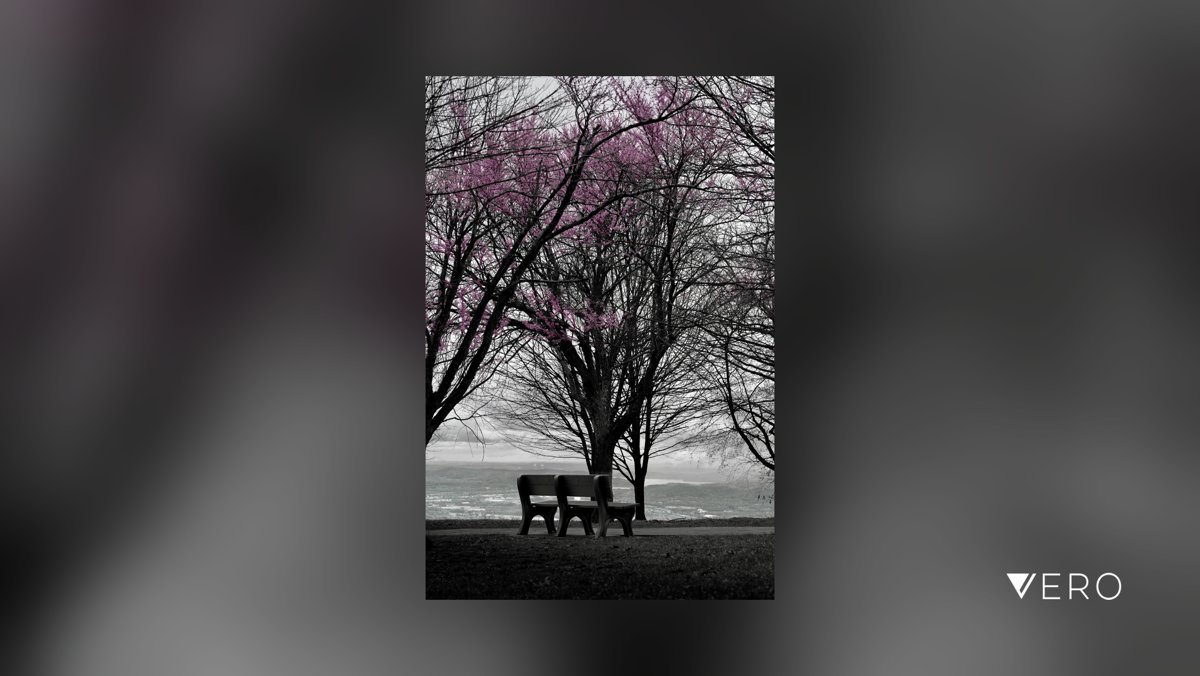 realtimwarren's tweet photo. Natures Spring Forward

#Sky #Monochrome #Branch #Tree #Tranquility #Nature #Seat #Outdoors #TreeTrunk #BareTree #ScenicsNature #Plant #TranquilScene #photo #photograph_vero #photovero #landacape #lookoutmountain #siliverwar #point… https://t.co/qXidhNycS7 https://t.co/Jwes6LPnjz