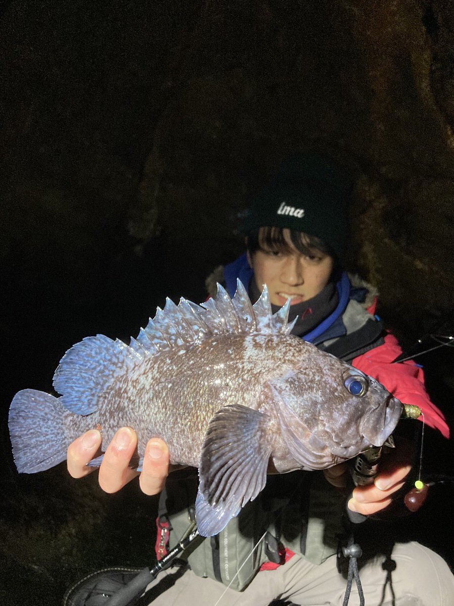 ayumu_2152's tweet image. 春を感じに夜の磯場へ。

浮いてるクロの反応がなかったので、底叩いてハッチーとマゾイ。春本番までもう少しって感じ。

そしてエアリティー入魂。
ダイワっぽいヌルヌルのドラグでファイト楽だし、なんせこの軽さはすごい。
#タッチアンドトライキャンペーン
#AIRITY 
#Early 
#デスアダーシャッド