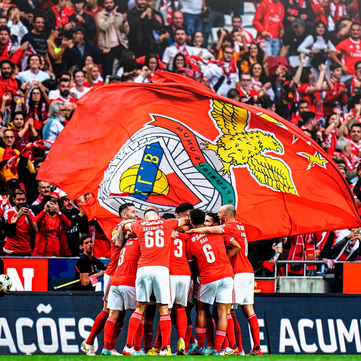 plusbenfica's tweet image. O Benfica é, neste momento, o quarto melhor clube de todo o planeta, com uma pontuação de 247, segundo a mais recente atualização do ranking elaborado pela Federação Internacional de História e Estatísticas do Futebol (IFFHS).