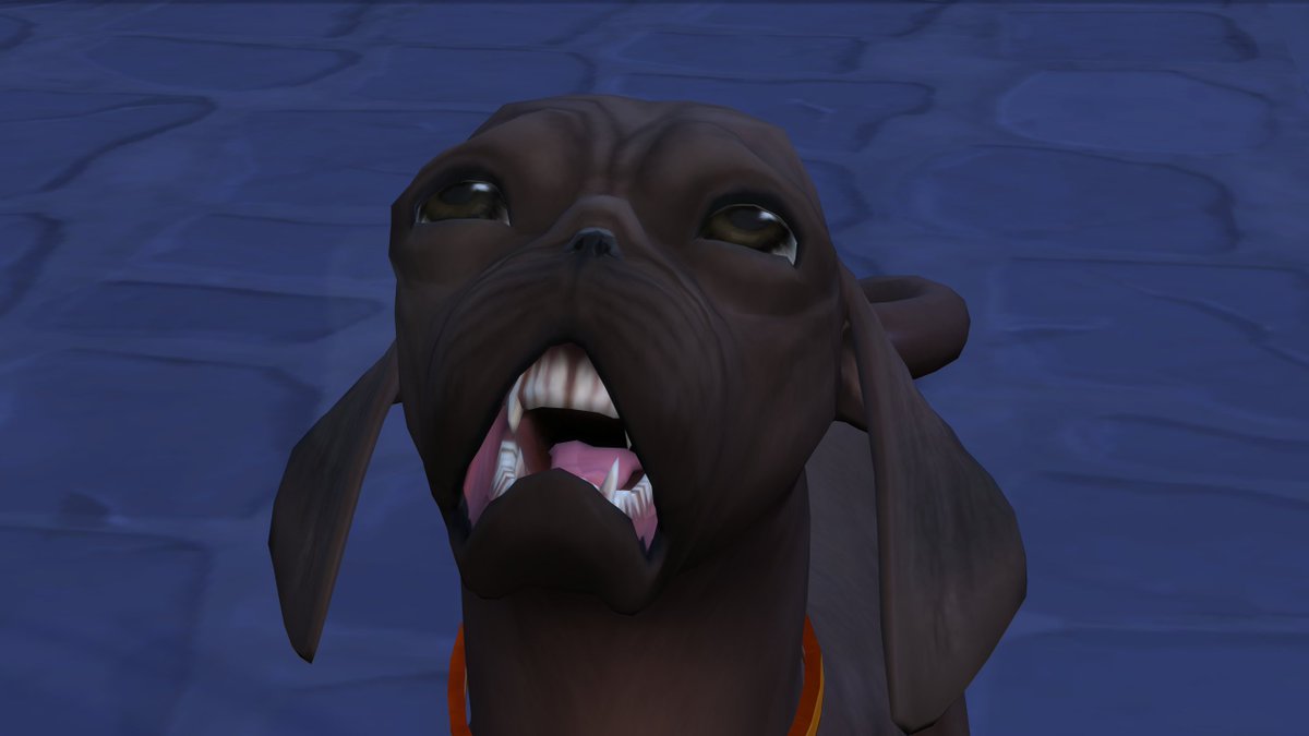 lilsimsie's tweet photo. i need you to see my sims dog https://t.co/EYRcdwUa1u