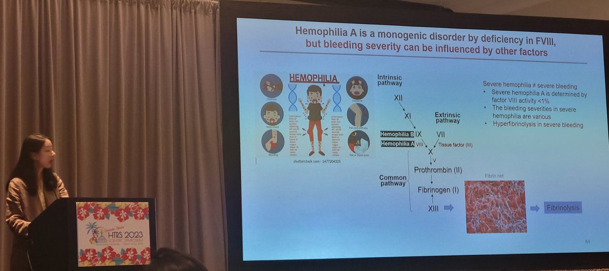 joshuamuia's tweet image. Oral talks at #HTRS2023, Ziyu Zhang, MD, @DrZeZheng lab @BloodResearchWI presents the link between FVIII deficiency and lipoprotein and cholesterol levels. Any physiological implications? Additional studies in #hemophilia will tell.