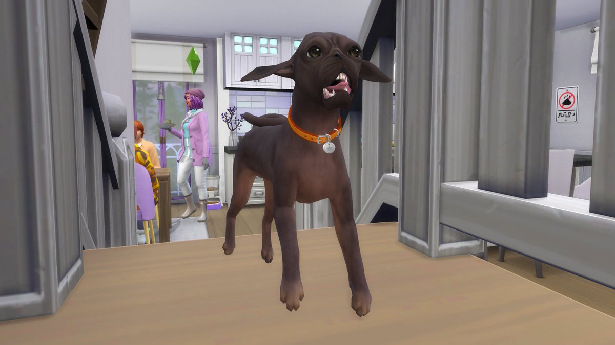 lilsimsie's tweet photo. i need you to see my sims dog https://t.co/EYRcdwUa1u