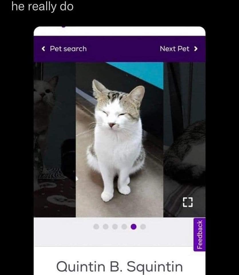 WholesomeMeme's tweet image. 