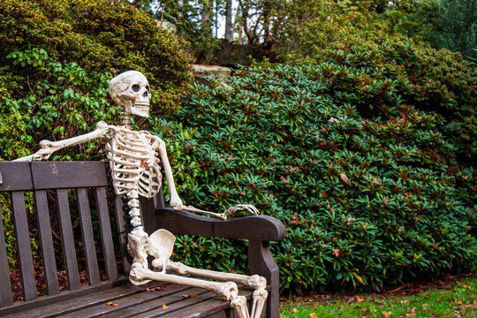 POV: you’re a writer on sub