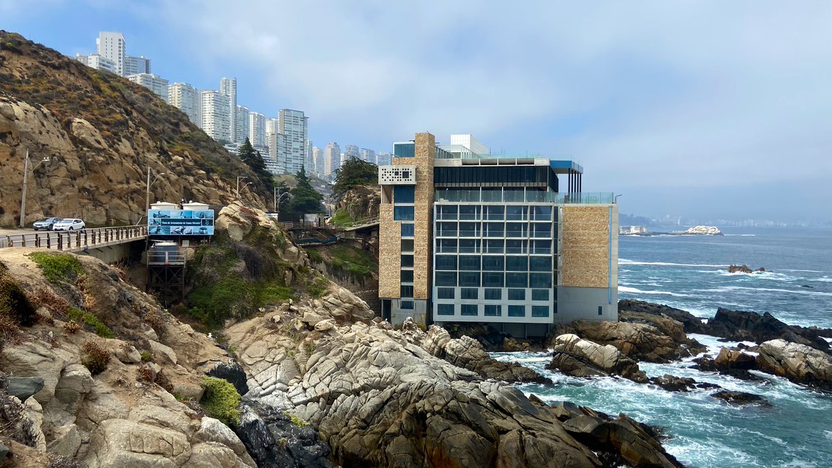 estebanarasi's tweet photo. hotel Punta Piqueros Concón se construyó incumpliendo todos los permisos

Debe DEMOLERSE aunque sea sacando ladrillo por ladrillo, debe ser un ejemplo para q nunca más se atente contra el medio ambiente y ponga en riesgo a la comunidad

Habilitarlo sería irresponsable y criminal https://t.co/B1TFbjJZ4T