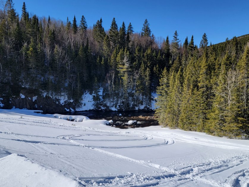 Shawn Schill 🇨🇦🇨🇦 tweet media