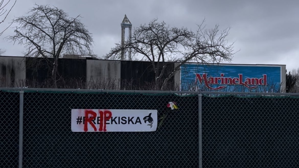 As seen outside MarineLand after their last orca has passed away. #RIPKiska