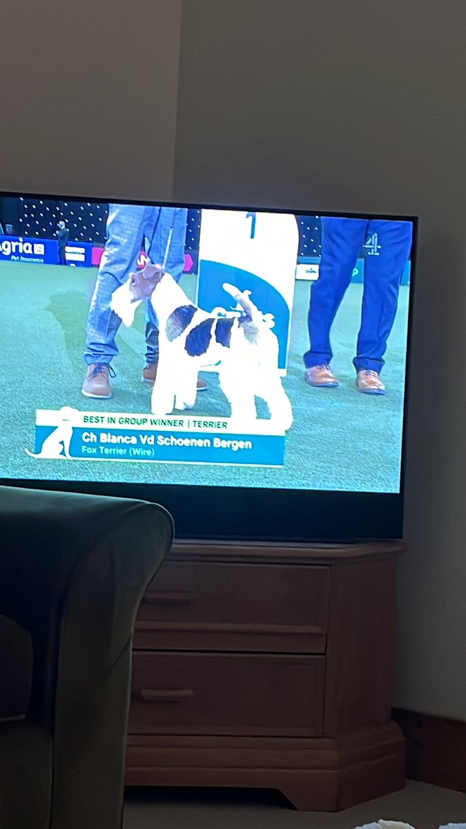 ClementsHarry's tweet image. Raymond Holt would be so proud