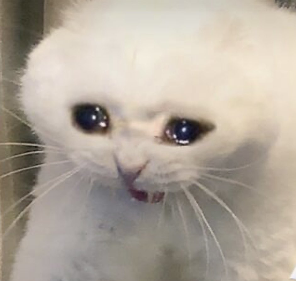 seiderlarkin's tweet image. 