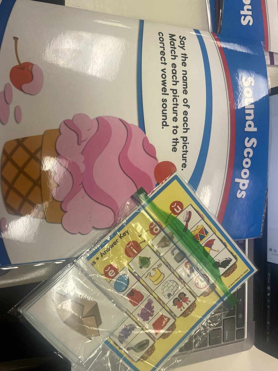 This is a great way to get primary students to learn their vowel sounds by naming the picture and matching that picture to the vowel sound they hear. This will get children engaged in their learning with a visual aspect as well as hearing the sounds of the vowels to match!