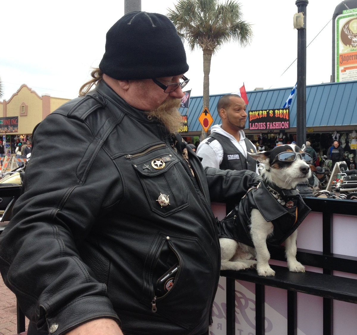 Foremost's tweet photo. This little guy is feeling bad to the (dog) bone at #BikeWeek!
#ForemostVirtualMotorcycleRally #BikerDog https://t.co/nj65N6c1eZ