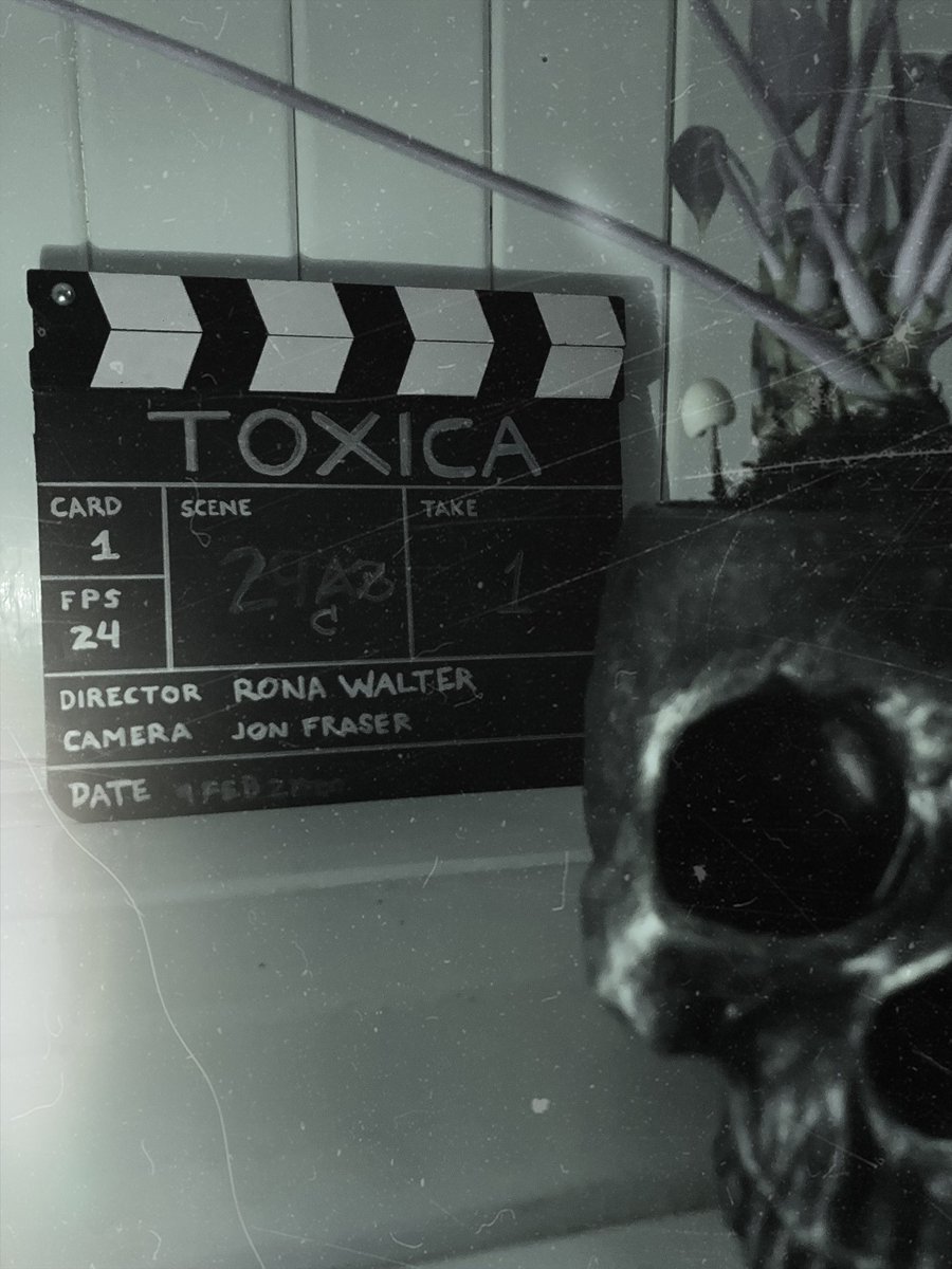 1st ever feature film in your wallet - in high res. Released Easter Sunday 2022 via #Cardano <a href="/RetroNfts/">RetroNFTs | CardanoNFTs</a> <a href="/TokenPerkz/">TokenPerkz</a> 

writer/dir. <a href="/R_Pumpkinqueen/">PumpkinQueen🎃</a> 
produced by <a href="/slidesoul/">Carlos Boellinger</a> 

<a href="/CardanoFeed/">Cardano Feed ($ADA)</a> #TOXICAnft #CardanoNFT #movieNFT #film3 🌱💀🌱