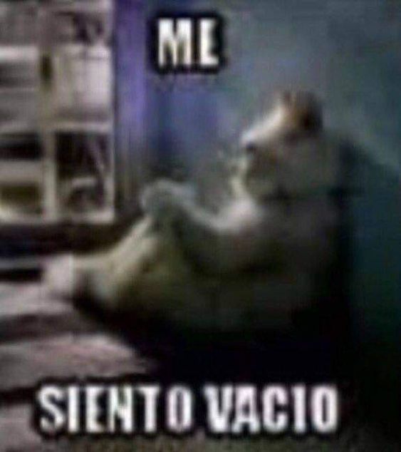 LPadnn's tweet photo. @Rubiu5 https://t.co/2X2Fp25cFK