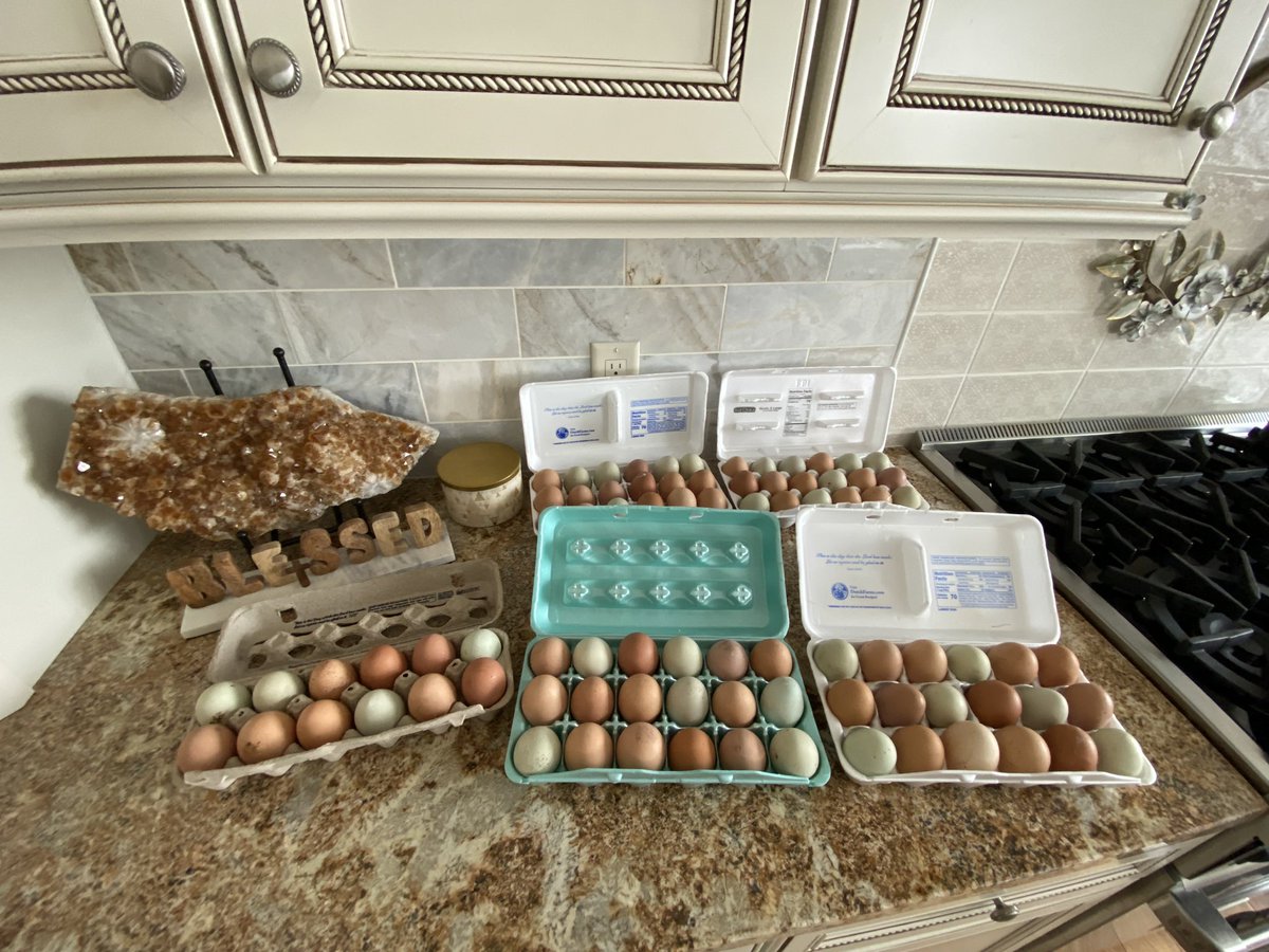Reason No. (infinity) of why I’m #rural. I got home from @acsTrauma today, knowing that I’m cooking breakfast for church fellowship tomorrow morning, and a friend has left 7 dozen farm fresh eggs for me to use! 🙏 #Blessed.
