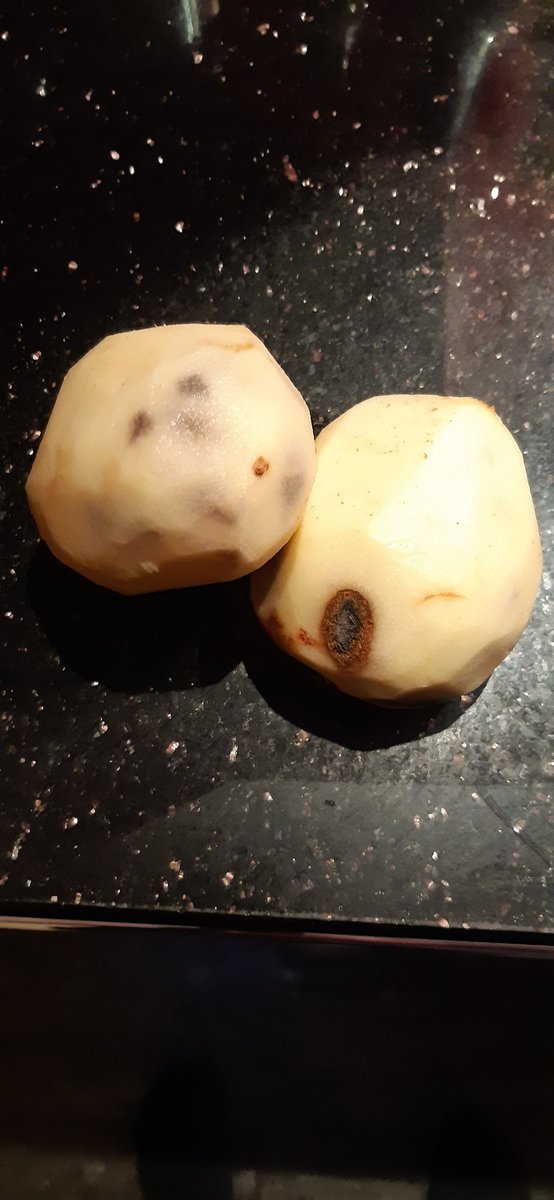 Alex 🐦 tweet media