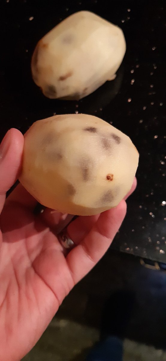 Alex 🐦 tweet media