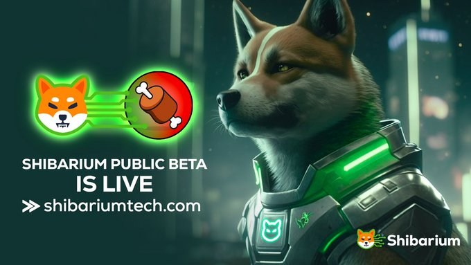 ShibSpain's tweet photo. ‼️ EARLY Beta Test of the #Shibarium Network is called PUPPYNET! and IS LIVE🔥🔥🔥

#Shibarium #SHIBARMY https://t.co/UfkwWov7B1