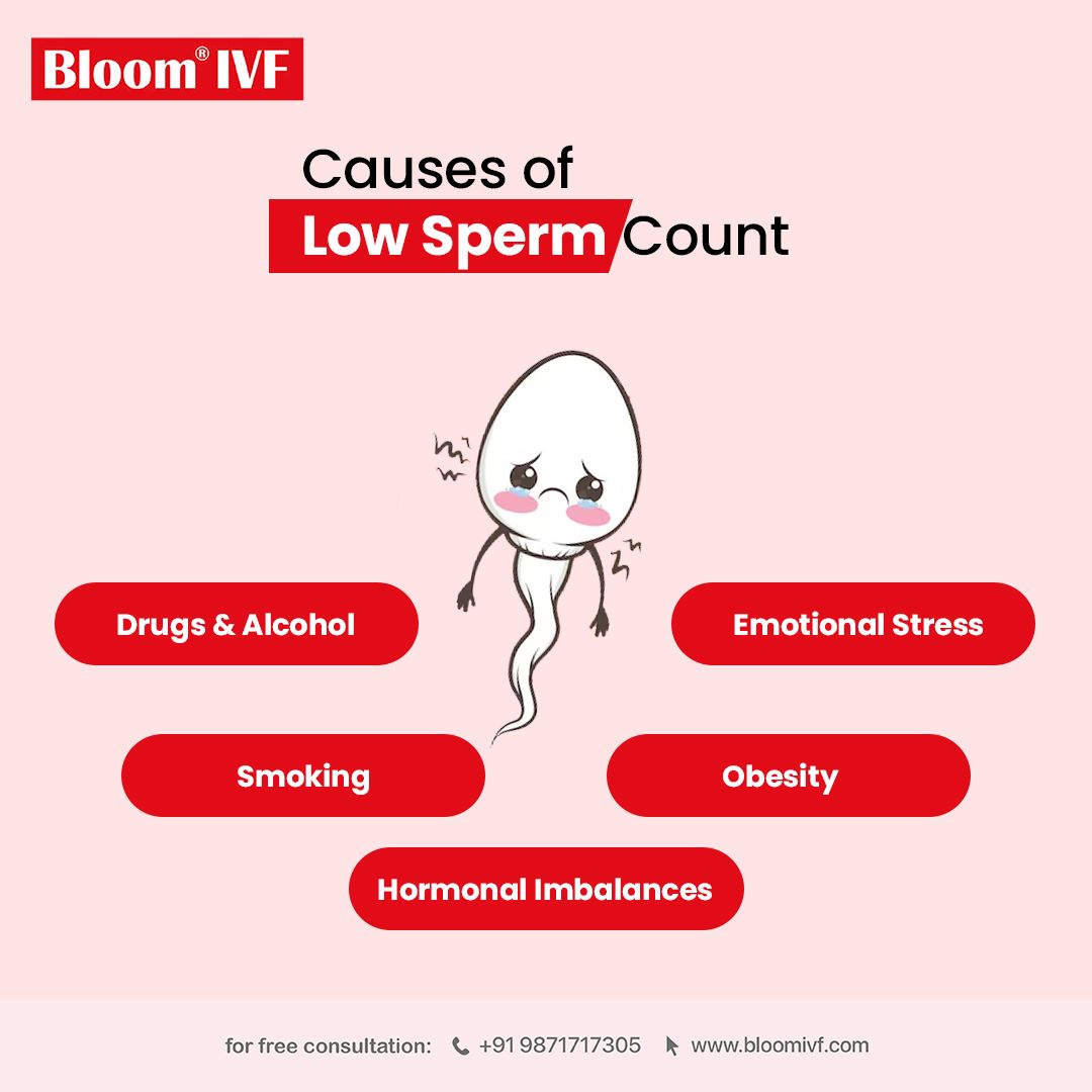 At Bloom IVF, we offer comprehensive testing and personalized treatment options to help couples overcome male infertility and achieve their dream of parenthood
Call us for Free Consultation
+91-9871717305 or 1800 266 9555 (toll-free🇮🇳)

#maleinfertility #lowspermcount #bloomivf