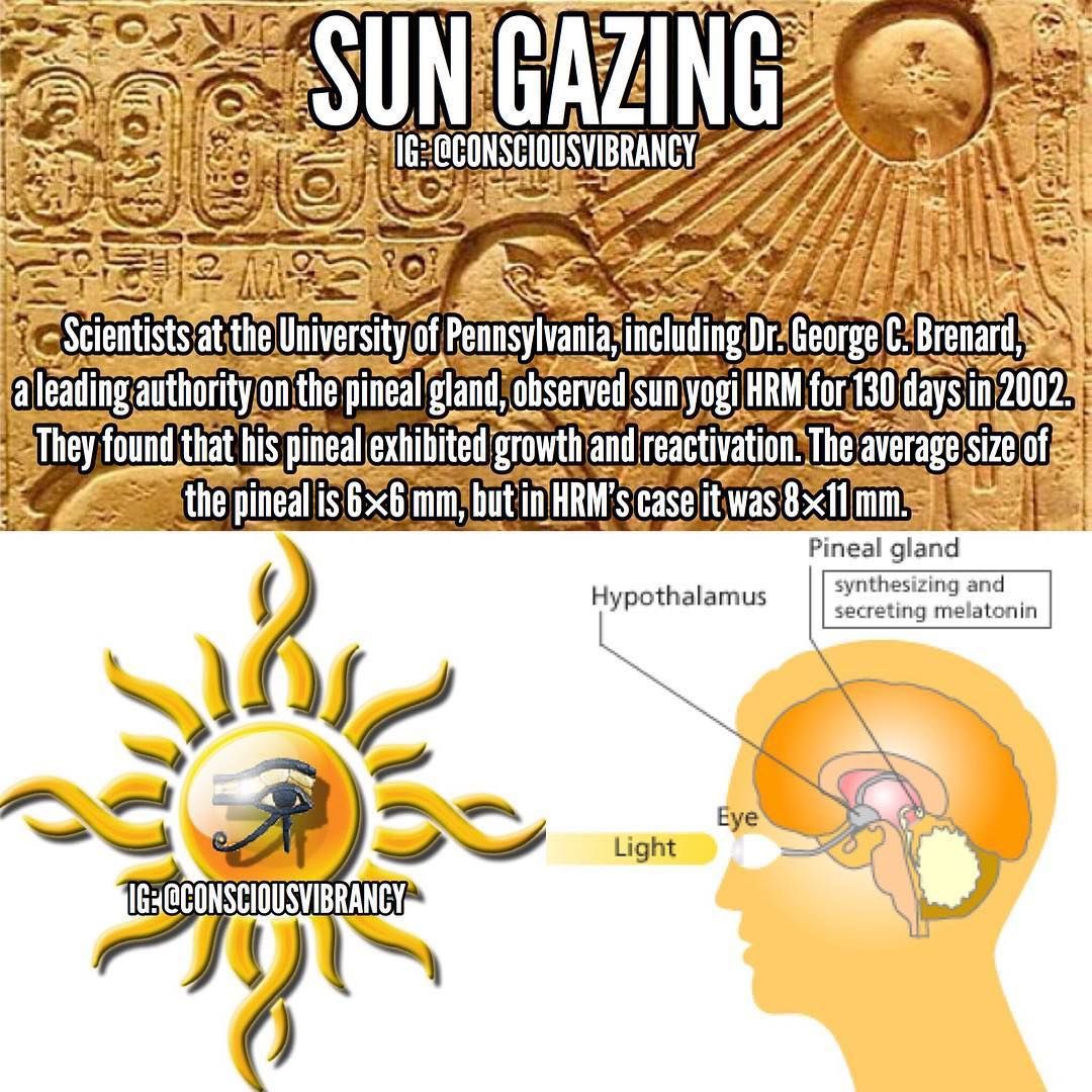 MissionToMan's tweet photo. Sunlight isn't bad. 

Wearing glasses, applying sunscreen, or covering your skin to sunlight, is killing you!

The sun has been shown to decalcify and even GROW your third eye. Vitamin D is also crucial for almost all bodily functions, 

Of course they tell you its bad. https://t.co/HrBNhKTUSg