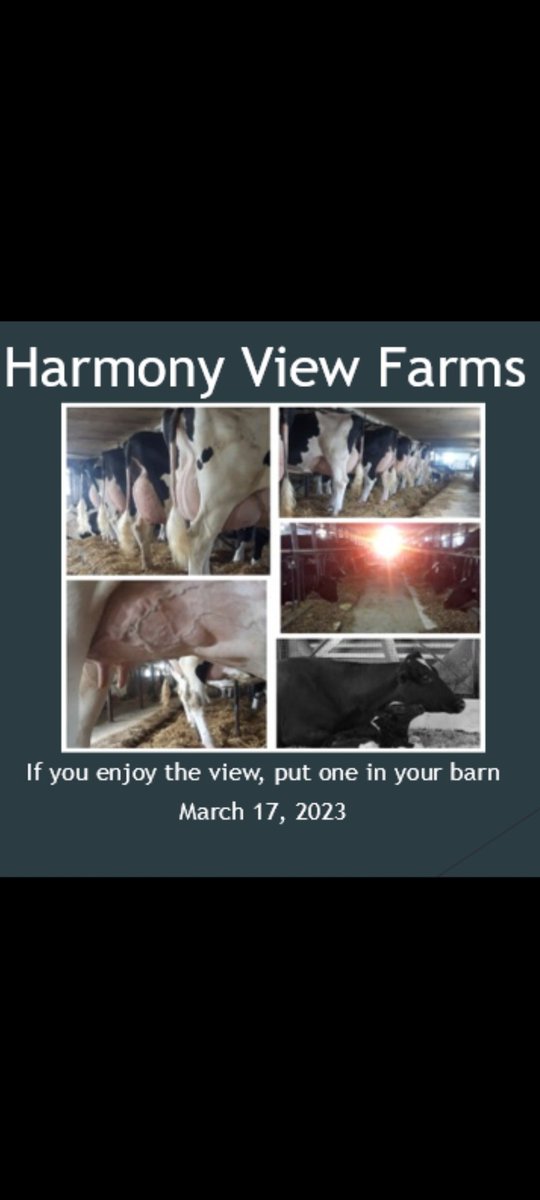 Big changes around here.
Barn will be open all next week, with cows selling on Friday