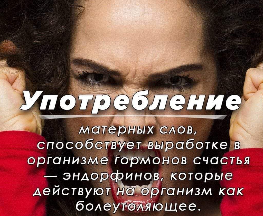 Puszka z Krakowa on Twitter: "Ну все...буду употреблять матерные слова ...