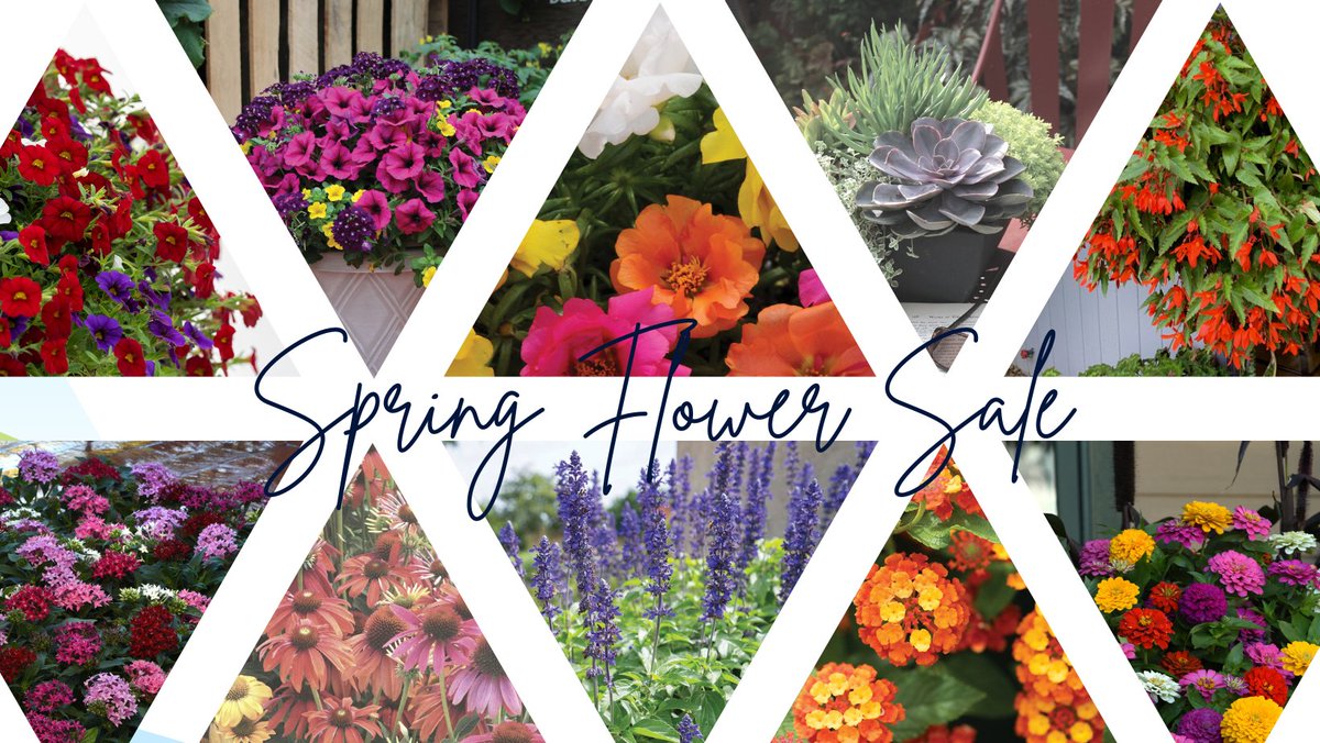 jsorge2's tweet image. It's time for the Memorial Middle School PTA Spring Flower Fundraiser!  More details to come!