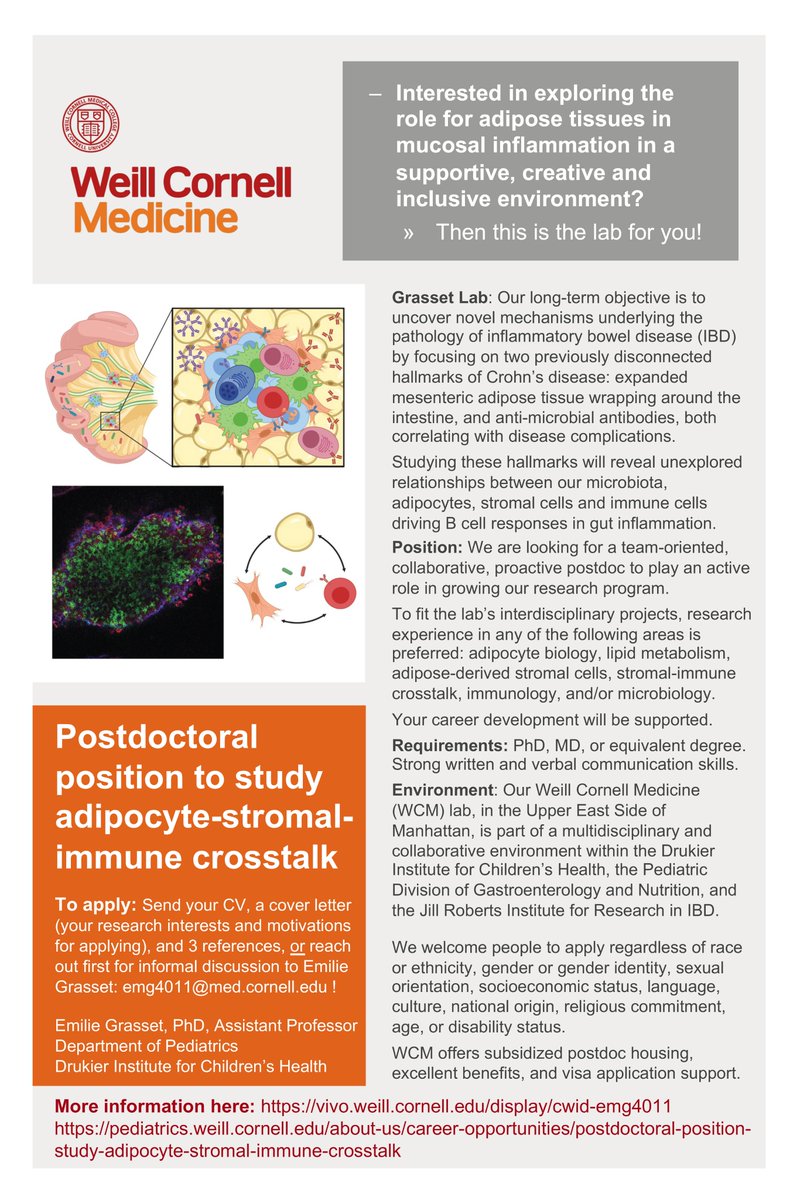 ekgrasset's tweet image. The Grasset Lab @WCMpeds is #recruiting team-oriented collaborative people to explore the role of #adipose tissues in mucosal #inflammation with us!
Lab/#postdoc info: bit.ly/3IYwszG
Technician application: jobs.weill.cornell.edu/s/ogOWKv
Reach out to chat! @socmucimm @immunomet