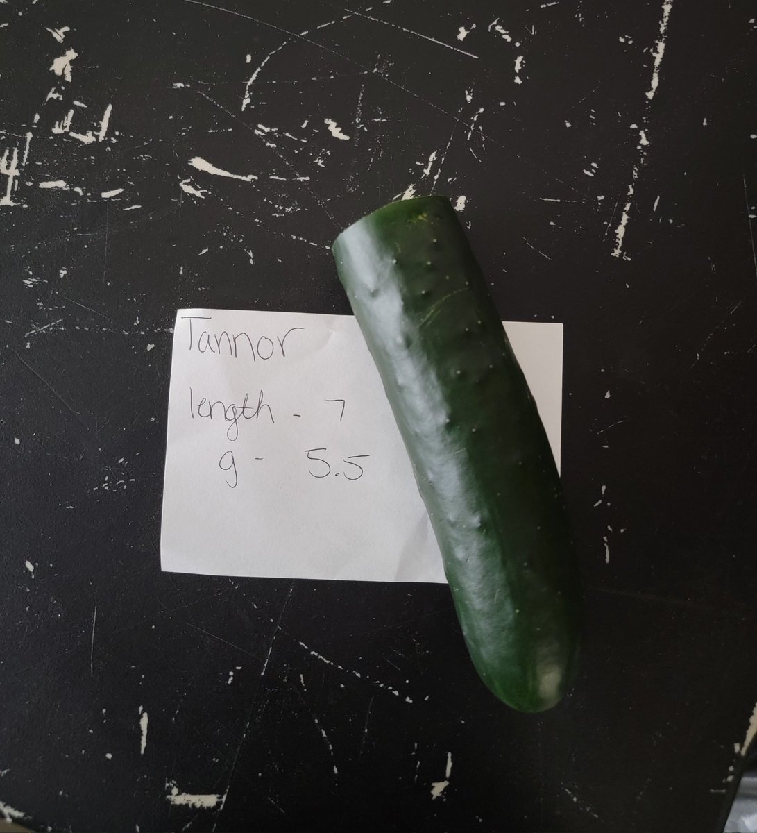 Tannor Reed on Twitter: 