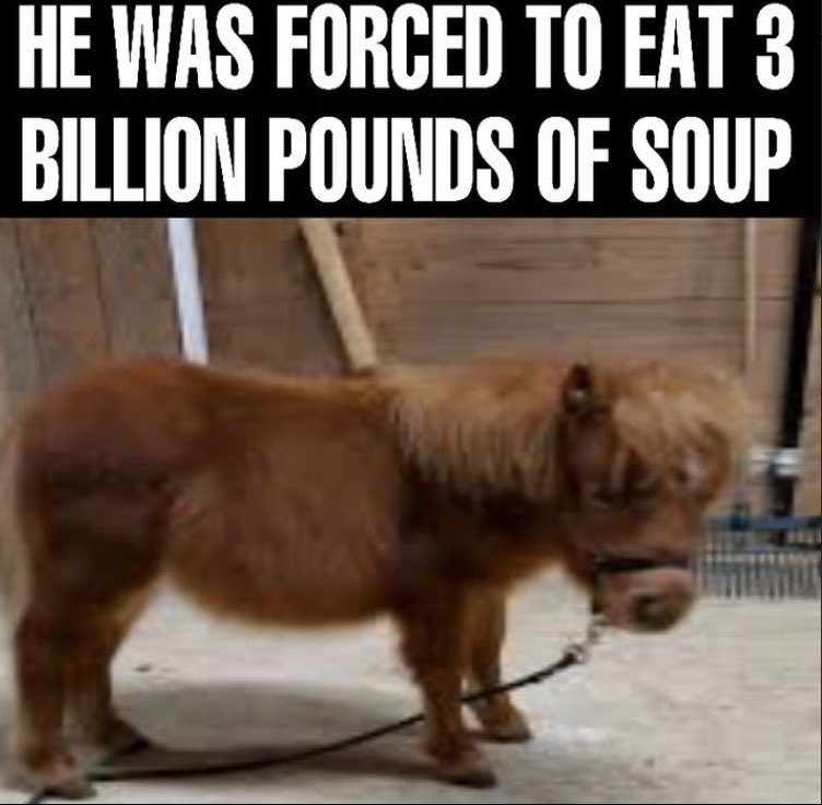 ShitpostGateway (@shitpostgate) on Twitter photo 