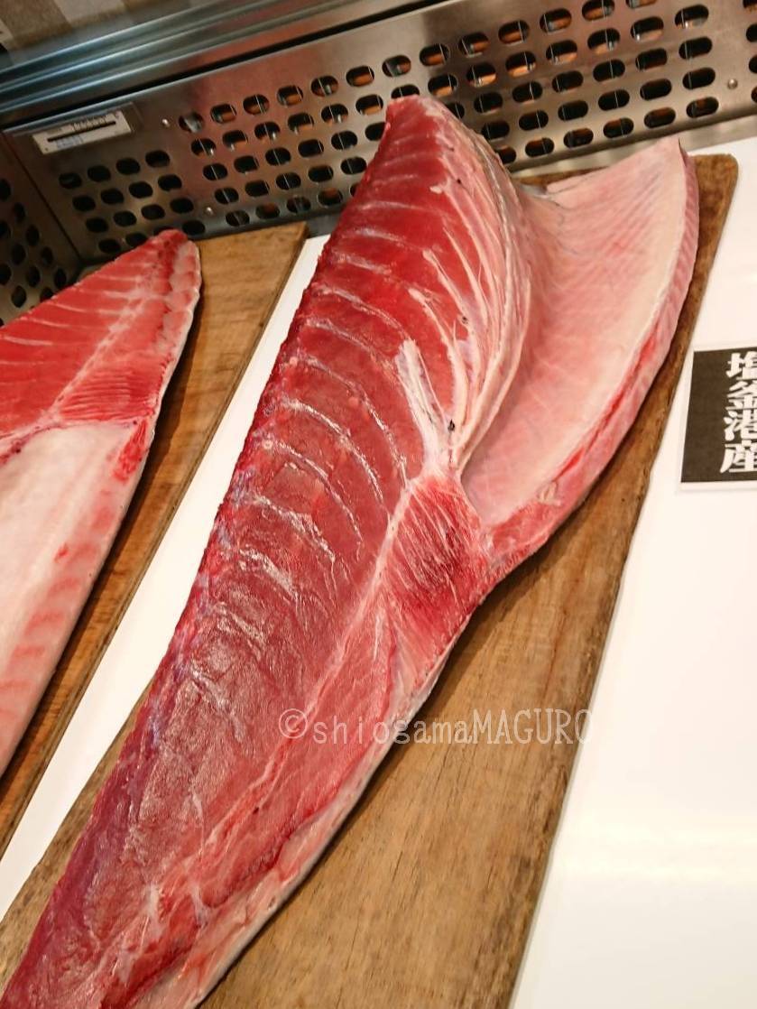 塩釜水産物仲卸市場からおはようございます。「本鮪・メバチマグロ・メカジキ」各種入荷解体しています。 お刺身にもおつくりしますのでお気軽にお声がけください✨ 
#宮城県 #塩釜港 #塩竈市 #まぐろ #海鮮丼 #ちらし寿司