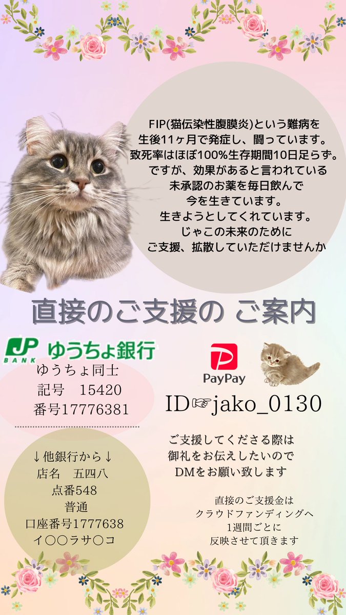 kinkalow_jako's tweet photo. 生後11ヶ月でFIPを発症し闘病中です。

高額治療の為、ご支援を募らせて頂いております
🔻クラウドファンディング🔻

https://t.co/zxZFbgz1Gz

登録が難しい場合、直接のご支援も責任を持って代理支援し反映させていただきます🌸
宜しくお願い致します。
🔻🔻🔻

#拡散希望 https://t.co/pIrwNUpzMQ