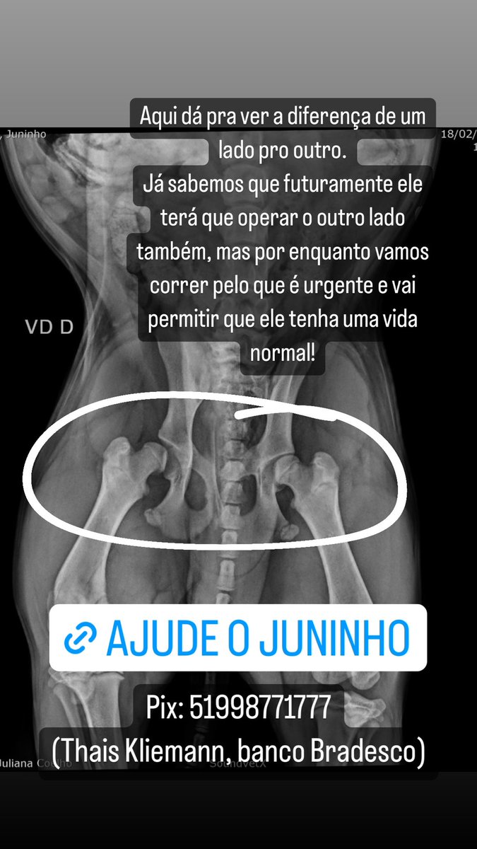 thais k tweet media